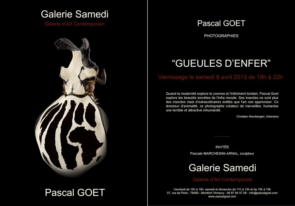 Invitation Pascal Goet avril 2013